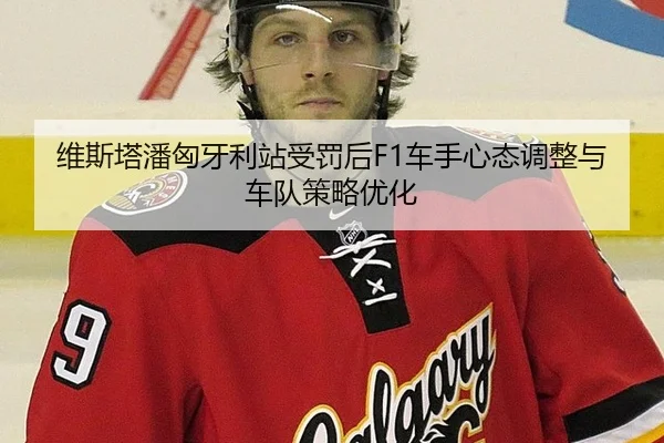 维斯塔潘匈牙利站受罚后F1车手心态调整与车队策略优化